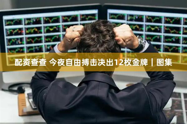 配资查查 今夜自由搏击决出12枚金牌｜图集